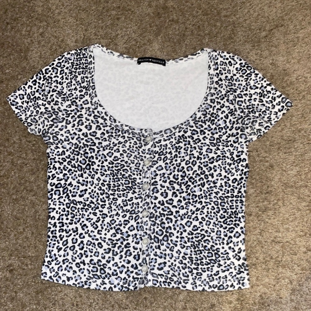 Brandy Cheetah Crop Top